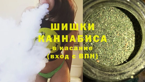 индика Заводоуковск