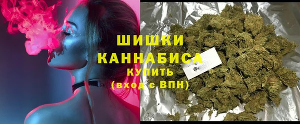 хмурый Гусиноозёрск