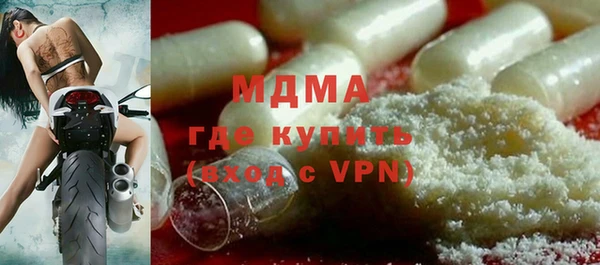 индика Зеленокумск