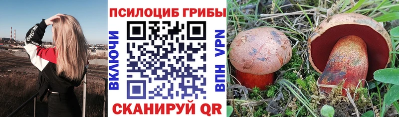 Галлюциногенные грибы Psilocybine cubensis  omg зеркало  Никольское 